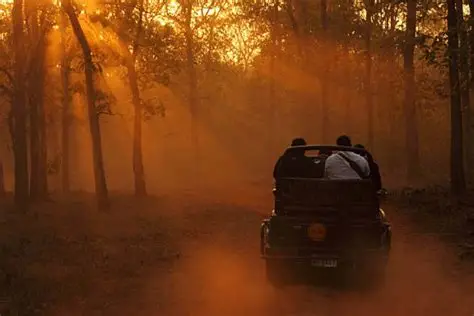 Jim Corbett travel experience
