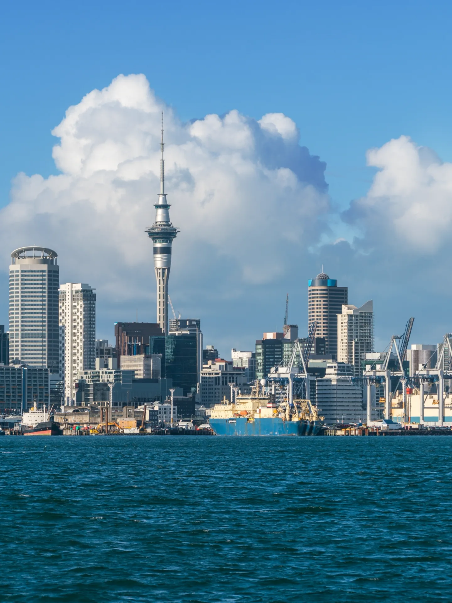 New Zealand travel experience