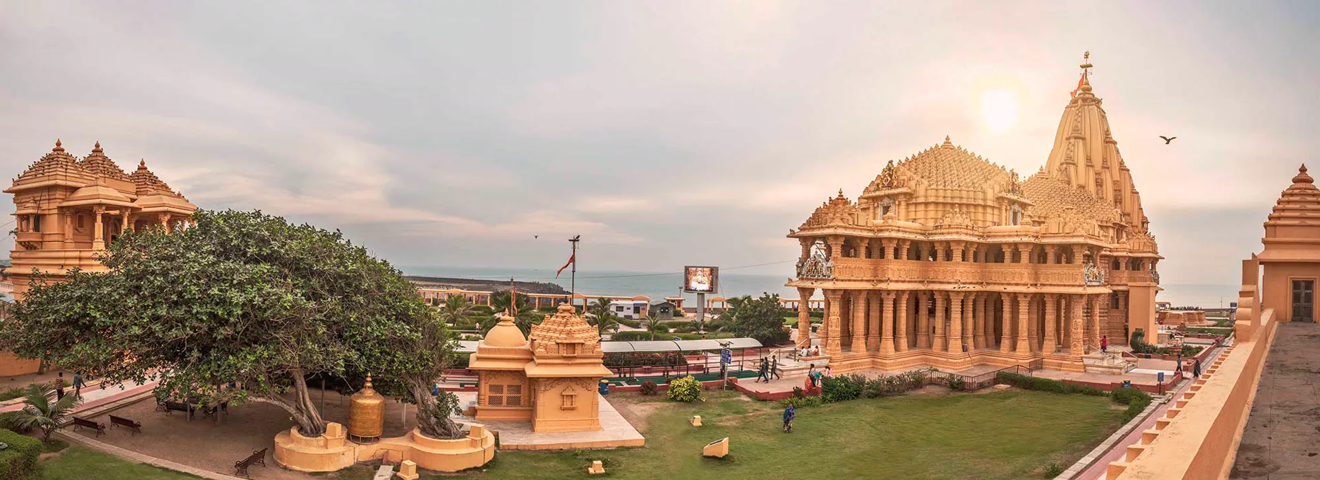 Somnath & Gir travel experience